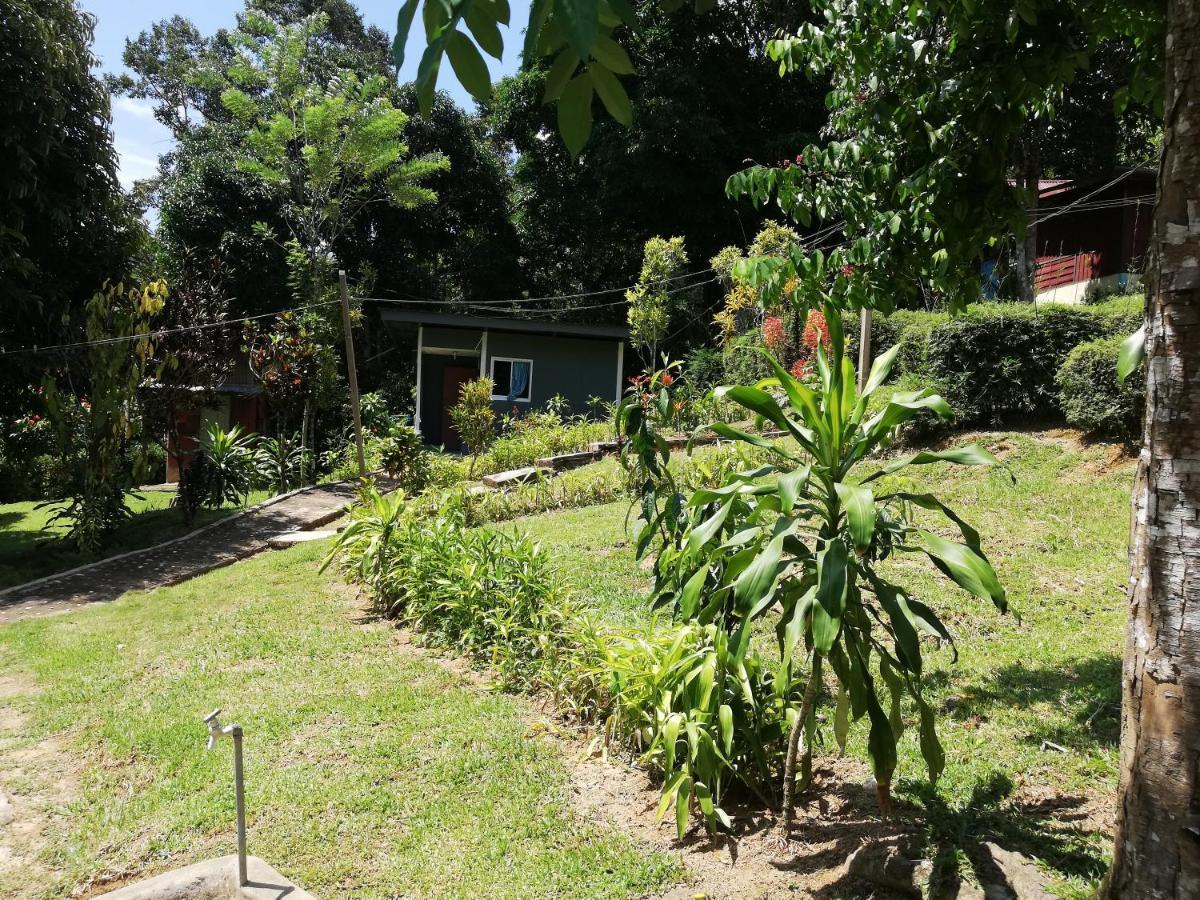 Durian Homestay Kuala Tahan