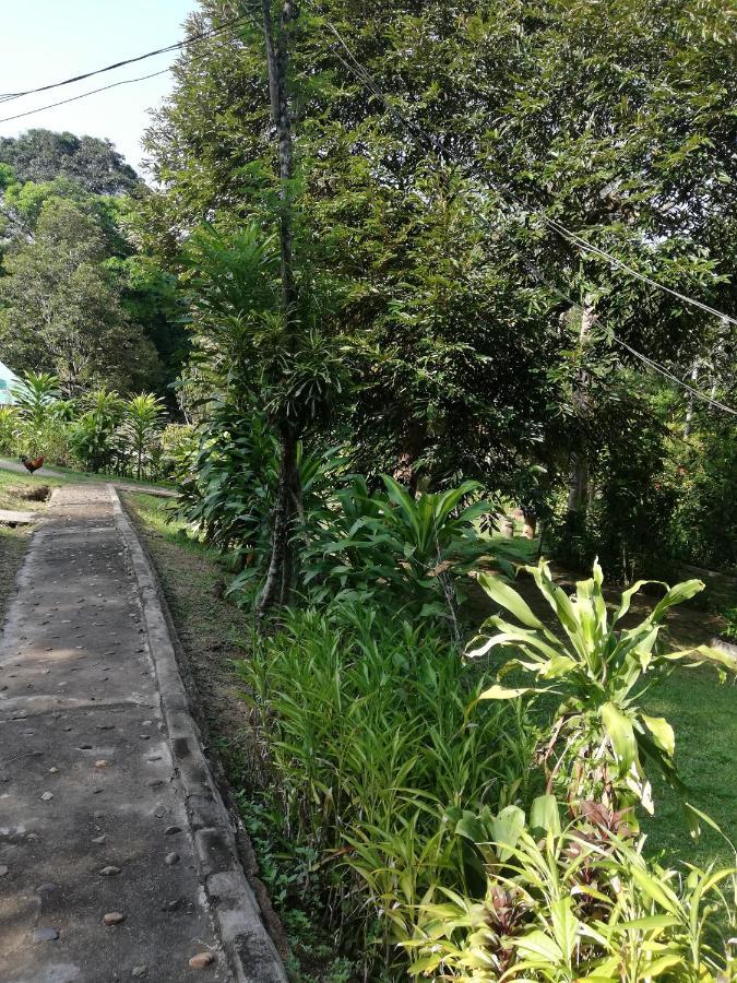 Durian Homestay