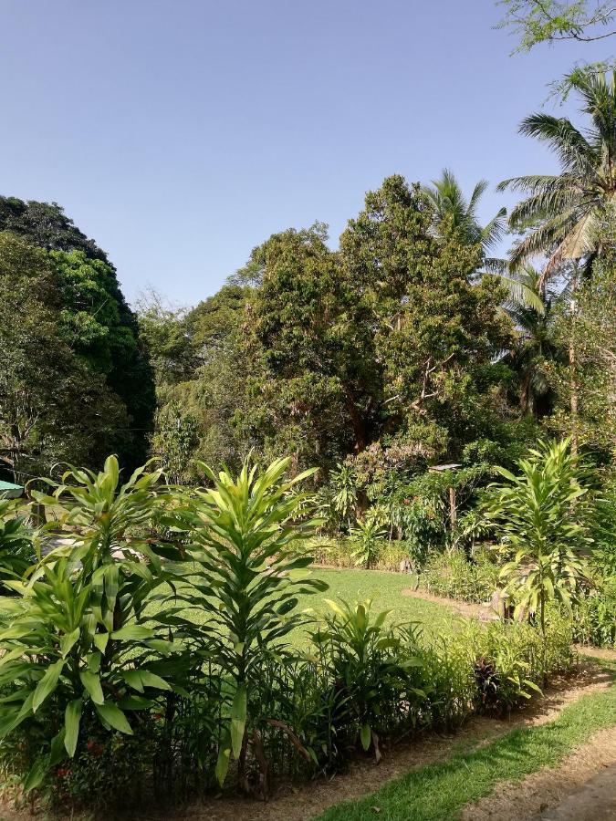 Durian Homestay