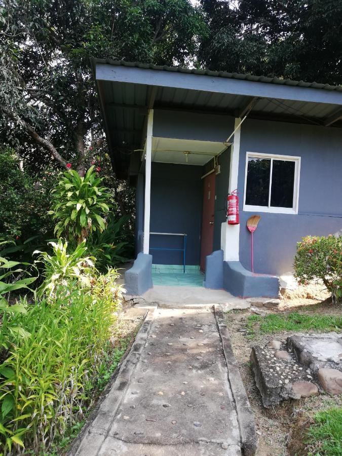 Durian Homestay *