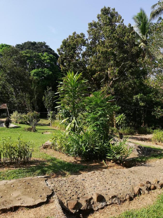 Homestay Durian